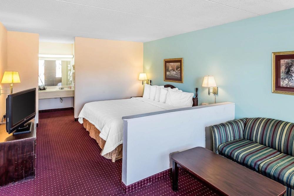 Econo Lodge Lavonia I-85 photo 15