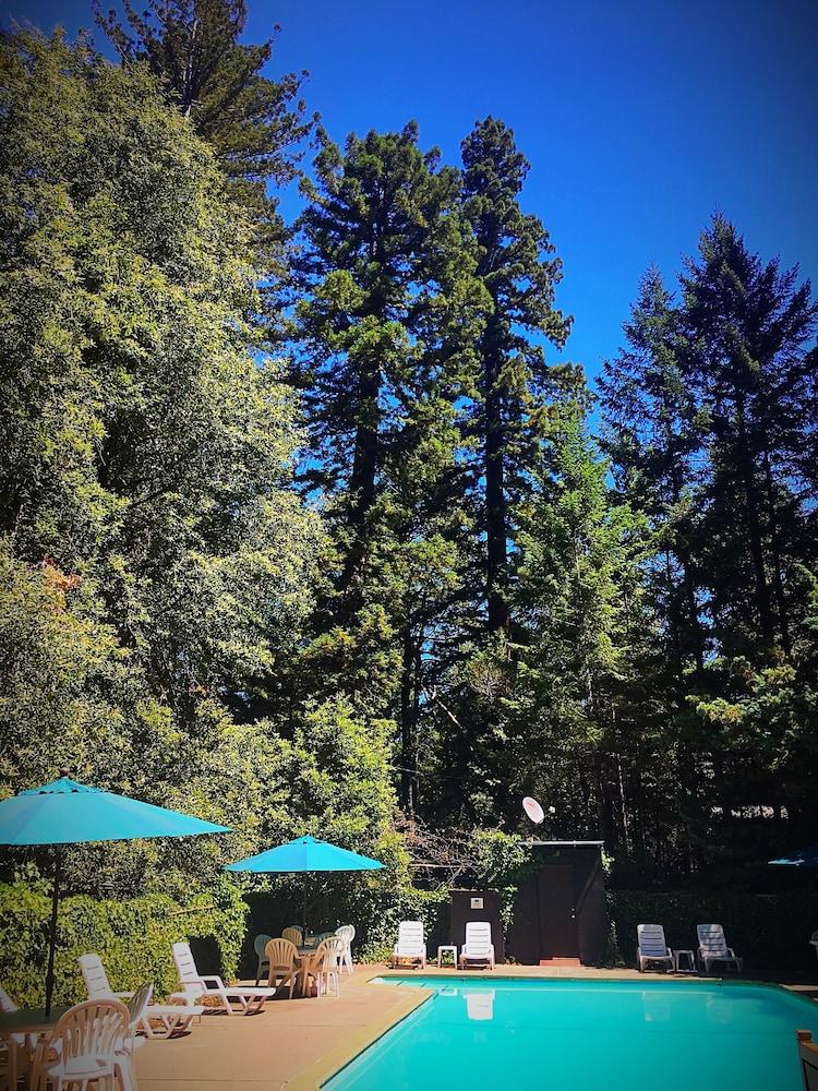 Redwoods River Resort photo 44