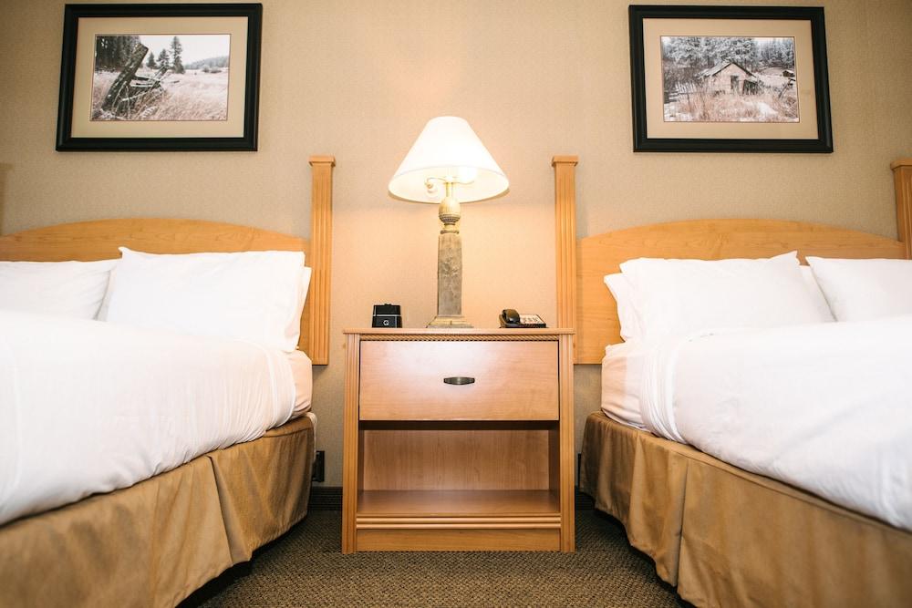 Holiday Inn Express Hotel & Suites Custer by IHG photo 4