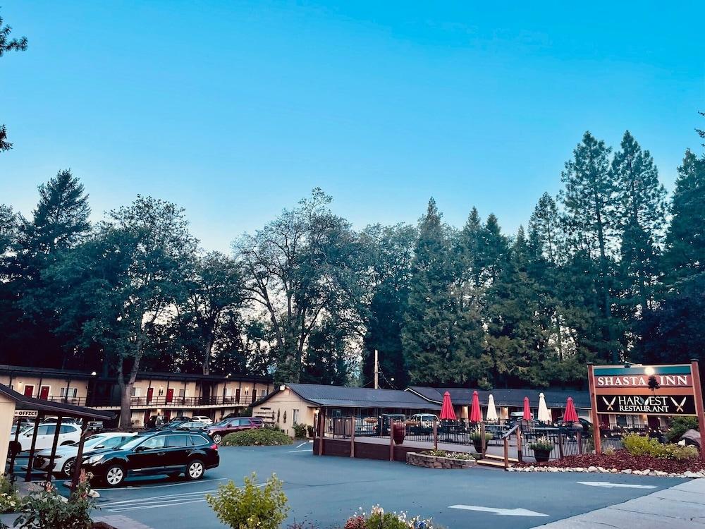 Shasta Inn photo 16