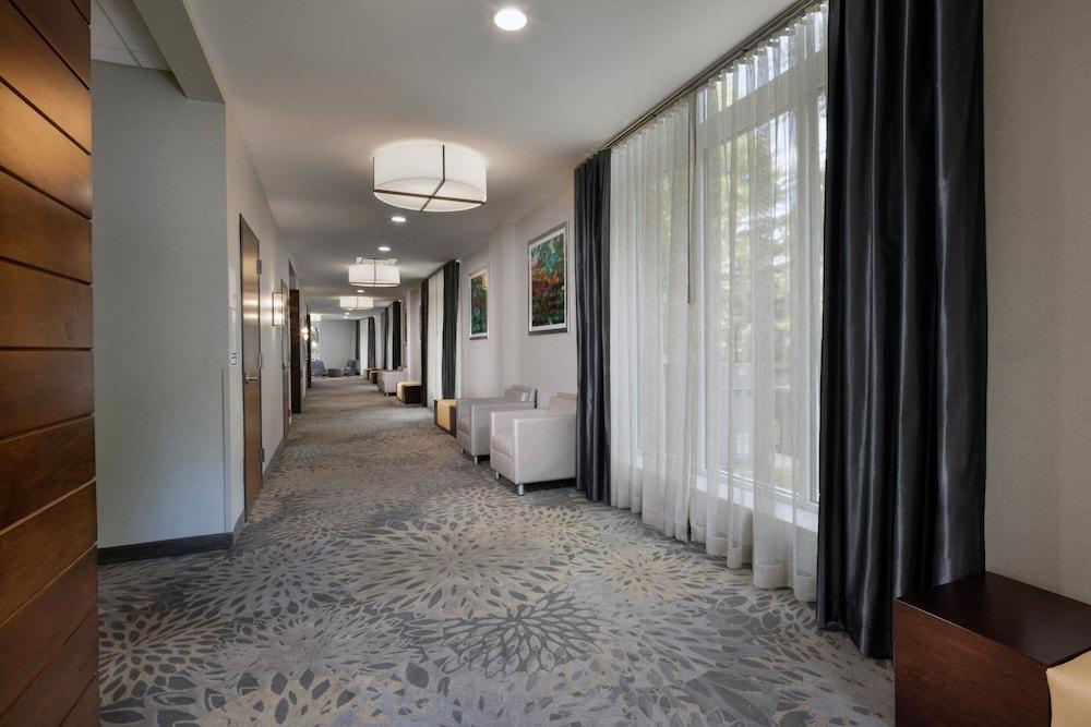 AC Hotel by Marriott Asheville Biltmore Village photo 58