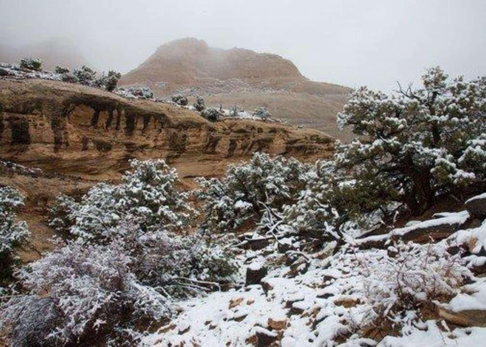 Cathedral Valley Inn photo 11