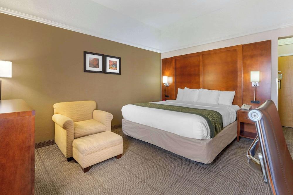 Comfort Inn Rutland - Killington photo 11