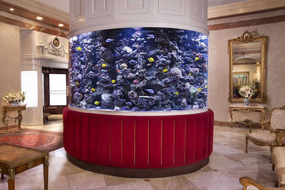 The Kimberly Hotel photo 2