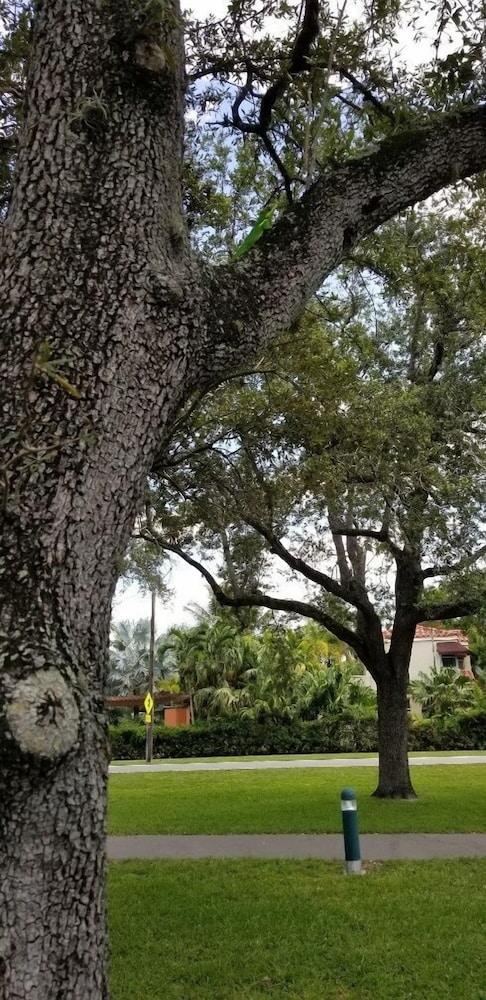 Parkway Inn Airport Motel Miami photo 3