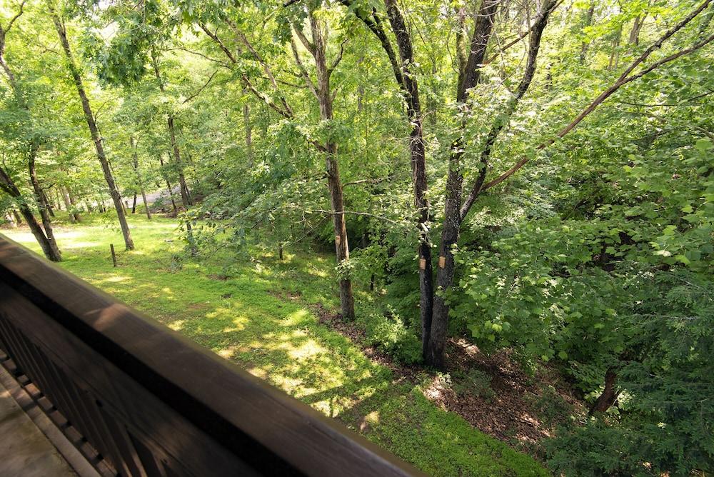 Greenbo Lake State Resort Park photo 48