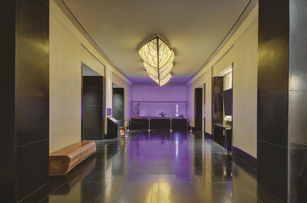 W Las Vegas photo 45