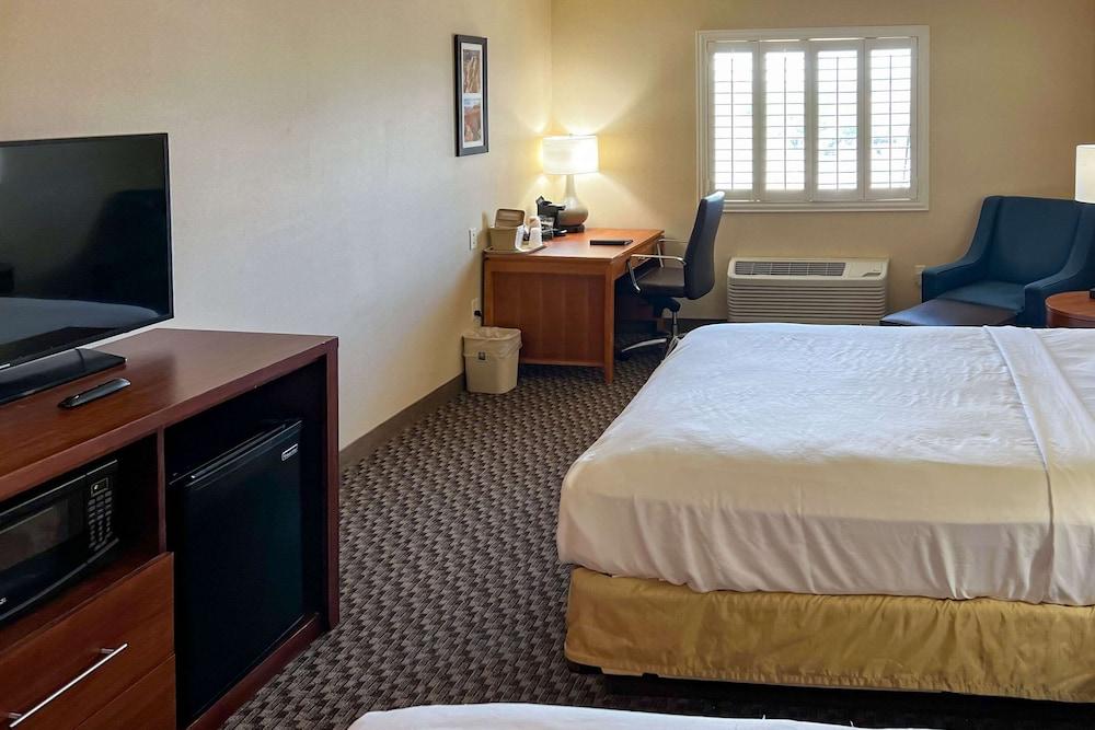 Comfort Inn & Suites Thatcher - Safford photo 8