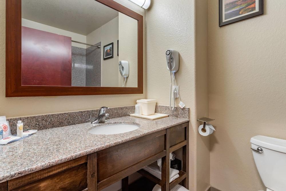 Comfort Inn & Suites Navasota photo 21