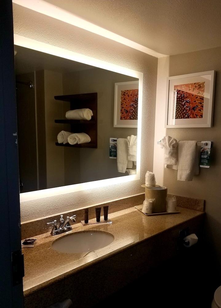 Wingate by Wyndham DFW / North Irving photo 53