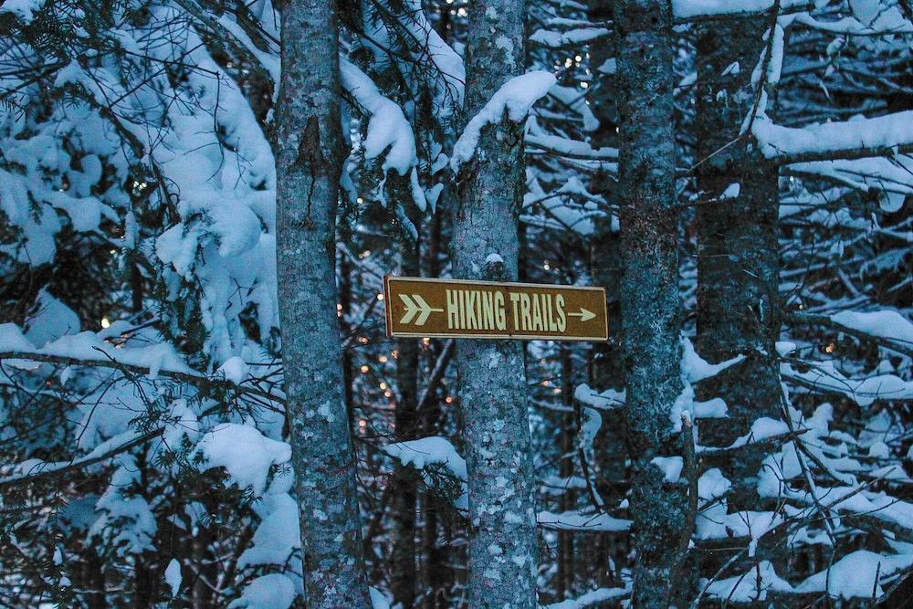 Bear Mountain Lodge photo 30