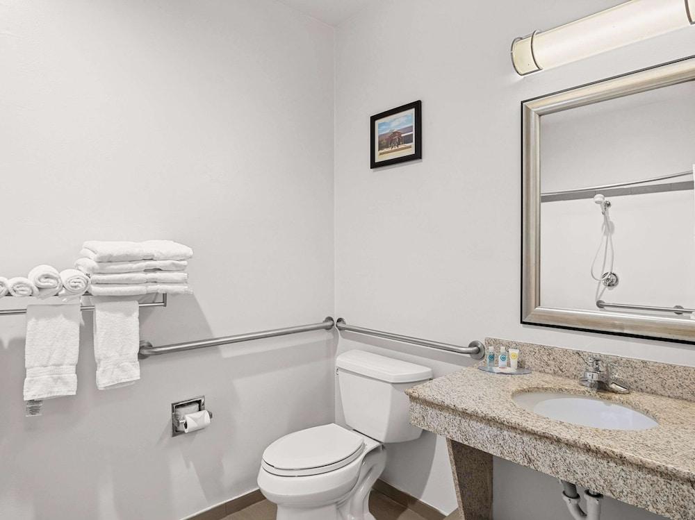 Comfort Suites Lindale - Tyler North photo 5