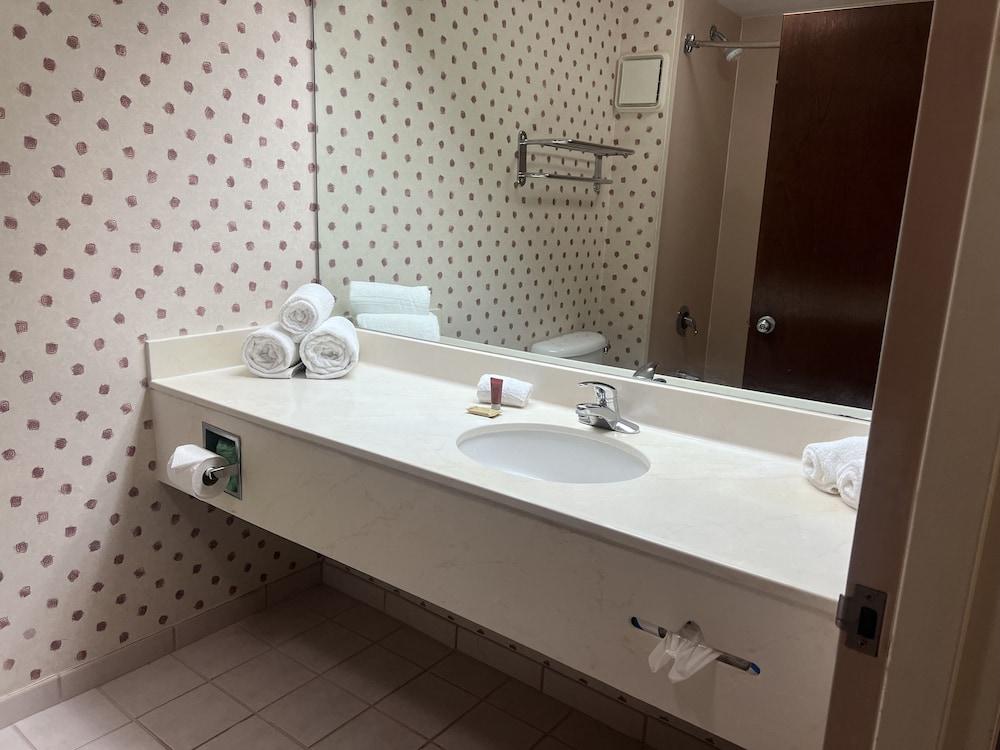 Orlando Palms Hotel photo 20