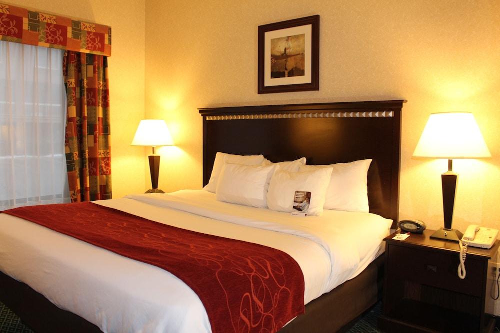 Comfort Suites Canton - Detroit photo 3