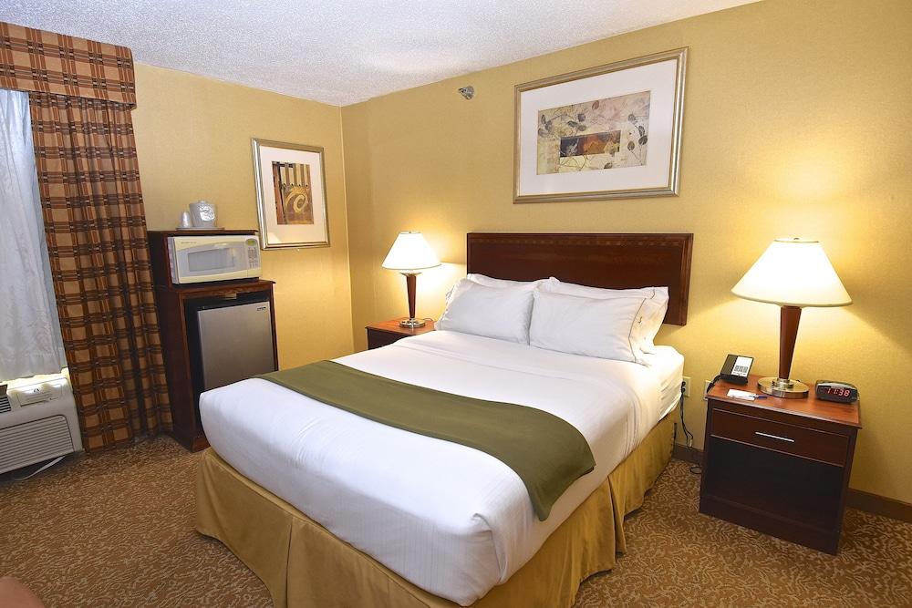Holiday Inn Express & Suites St. Louis West - Fenton by IHG photo 4