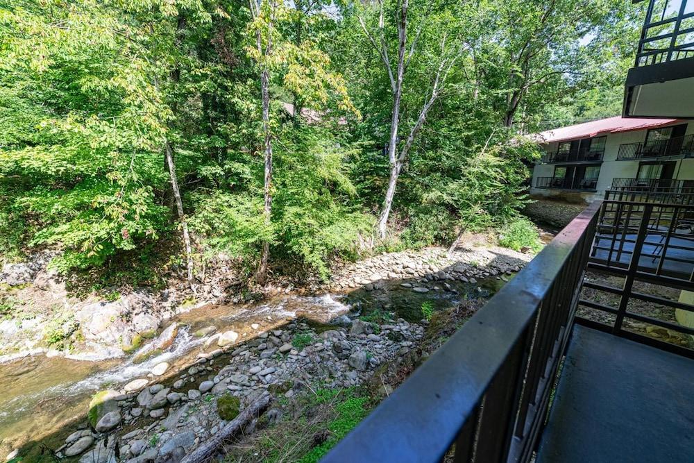 Bear Creek Inn photo 8