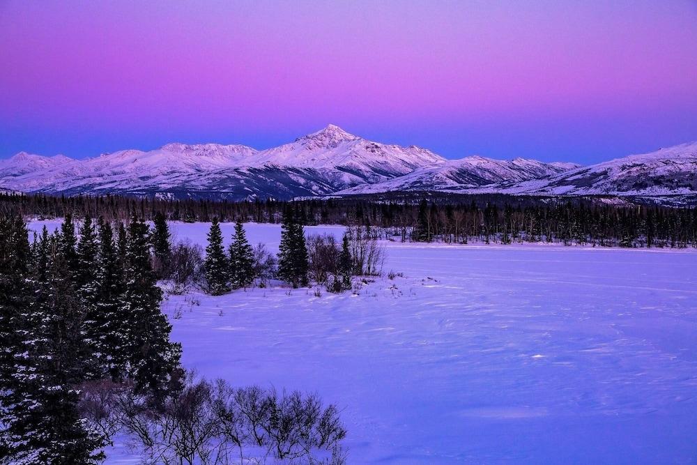 Denali Lakeview Inn photo 33
