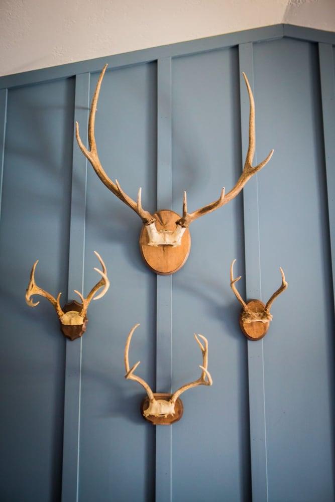 Anglers Lodge photo 10