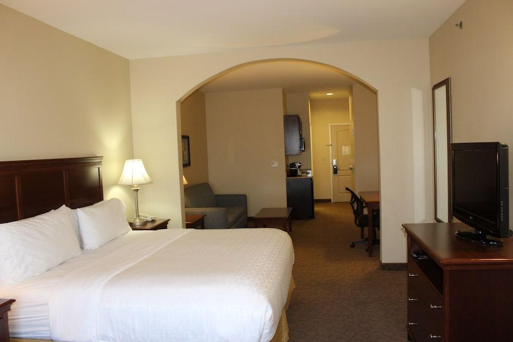 Holiday Inn Express & Suites Dallas Southwest-Cedar Hill by IHG photo 4