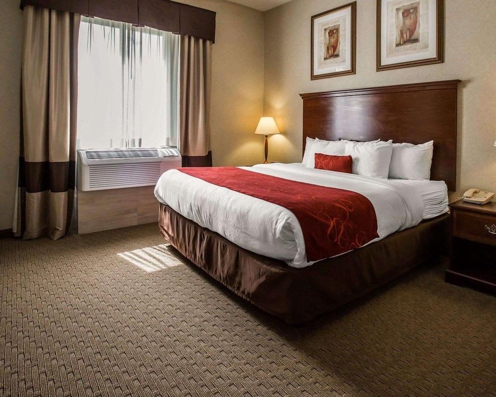 Comfort Suites Stafford Near Sugarland photo 15