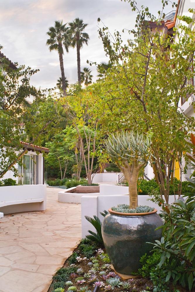 Sunset Marquis photo 75