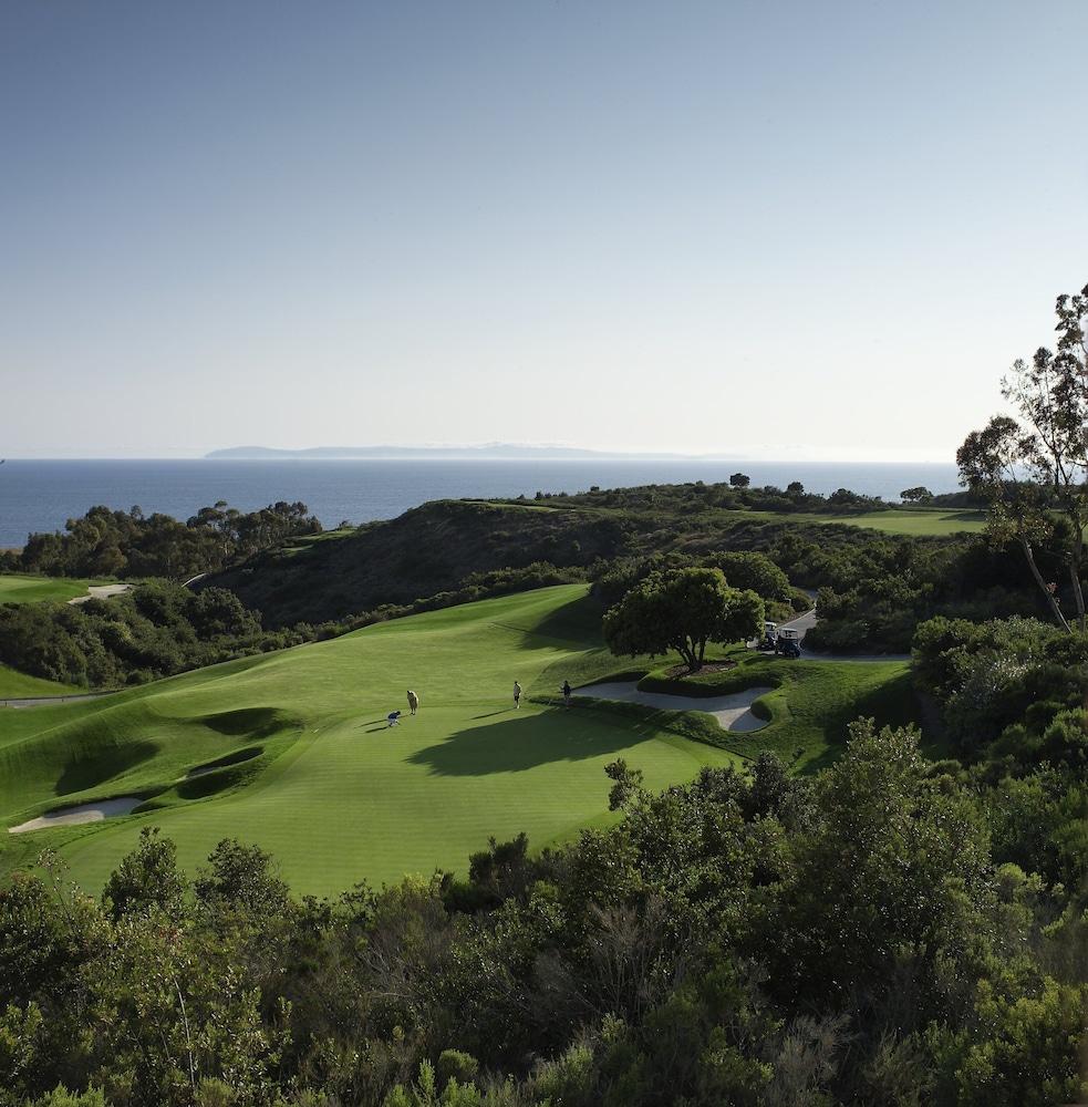 The Resort at Pelican Hill photo 65