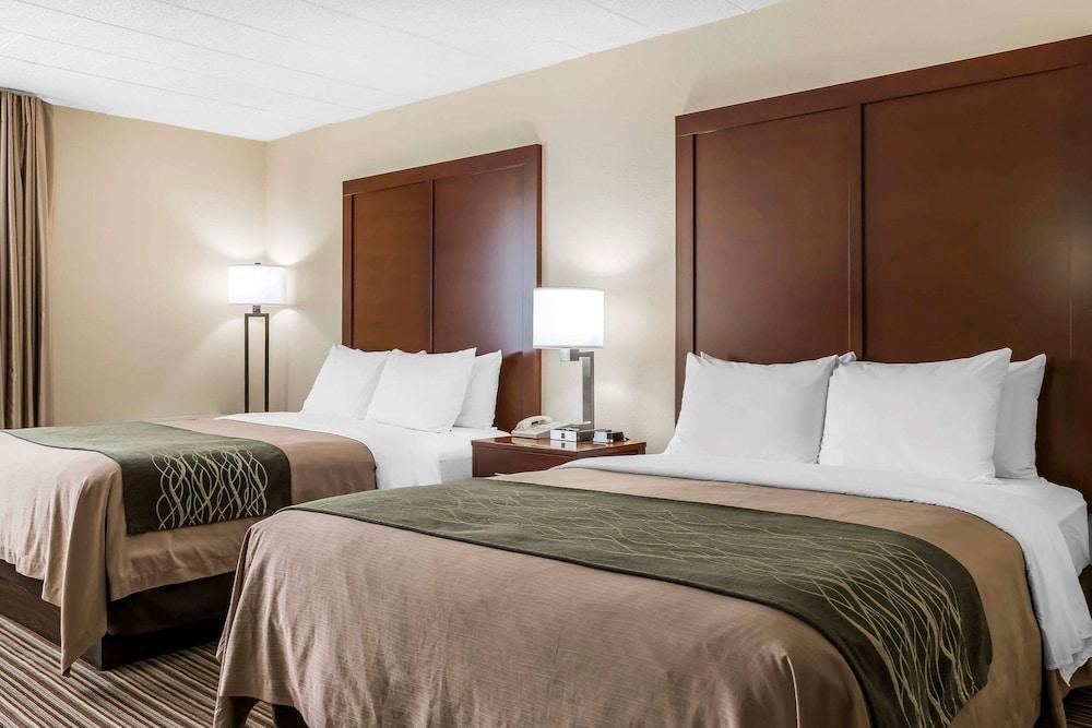 Comfort Inn - Pocono Mountains photo 3