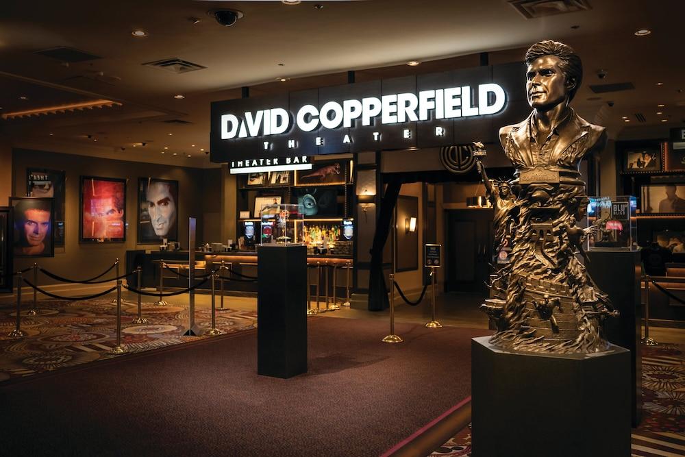 MGM Grand Hotel & Casino photo 69