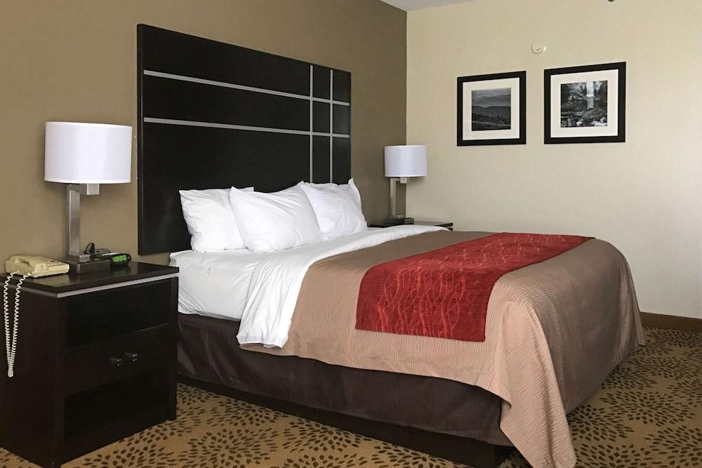 Comfort Inn North of Asheville photo 42