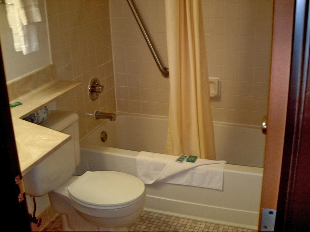 American Motel photo 15