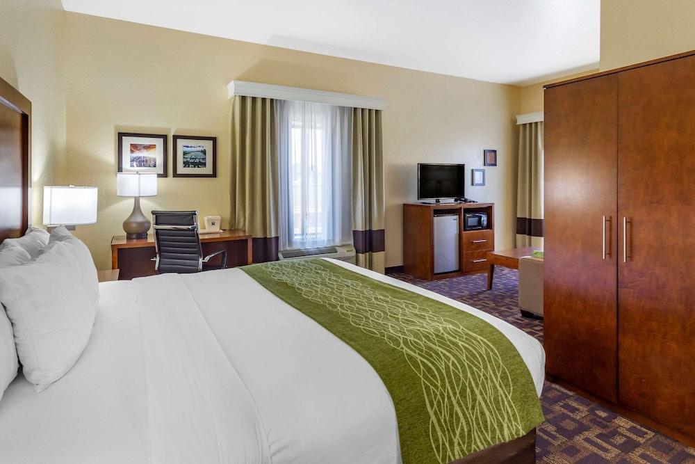 Comfort Inn & Suites North Aurora - Naperville photo 19