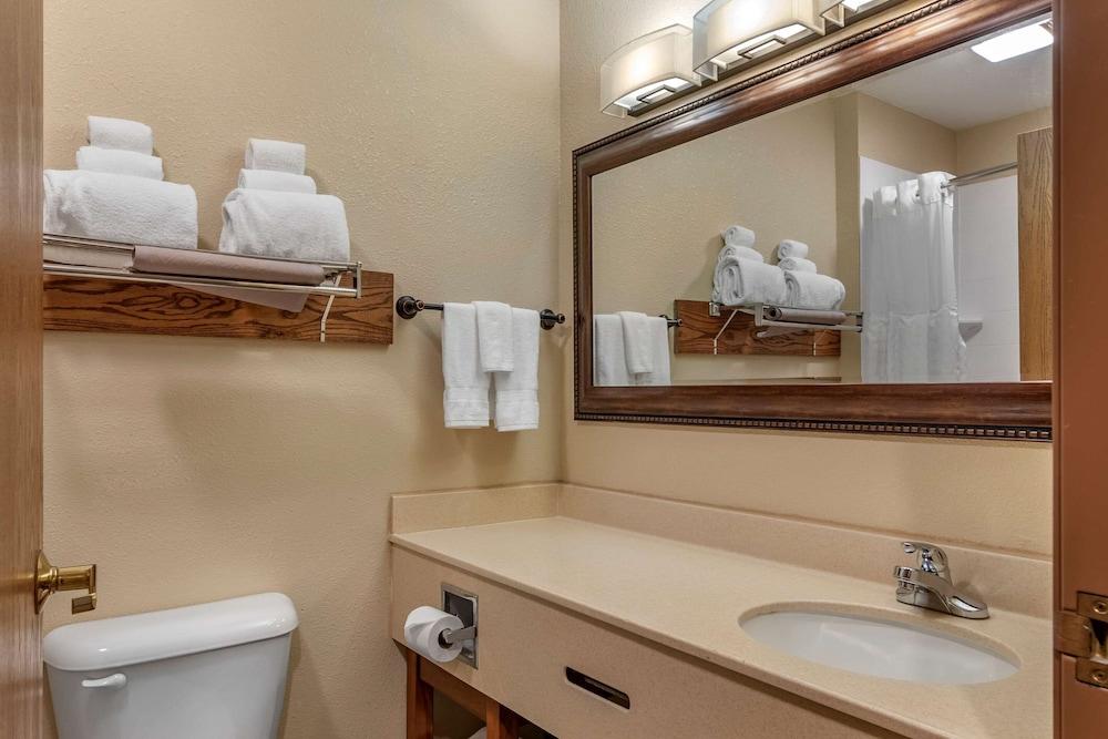 Comfort Inn Warrensburg Station photo 44