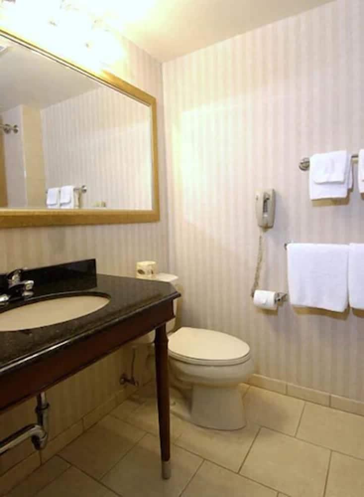 Rockville Centre Inn photo 17