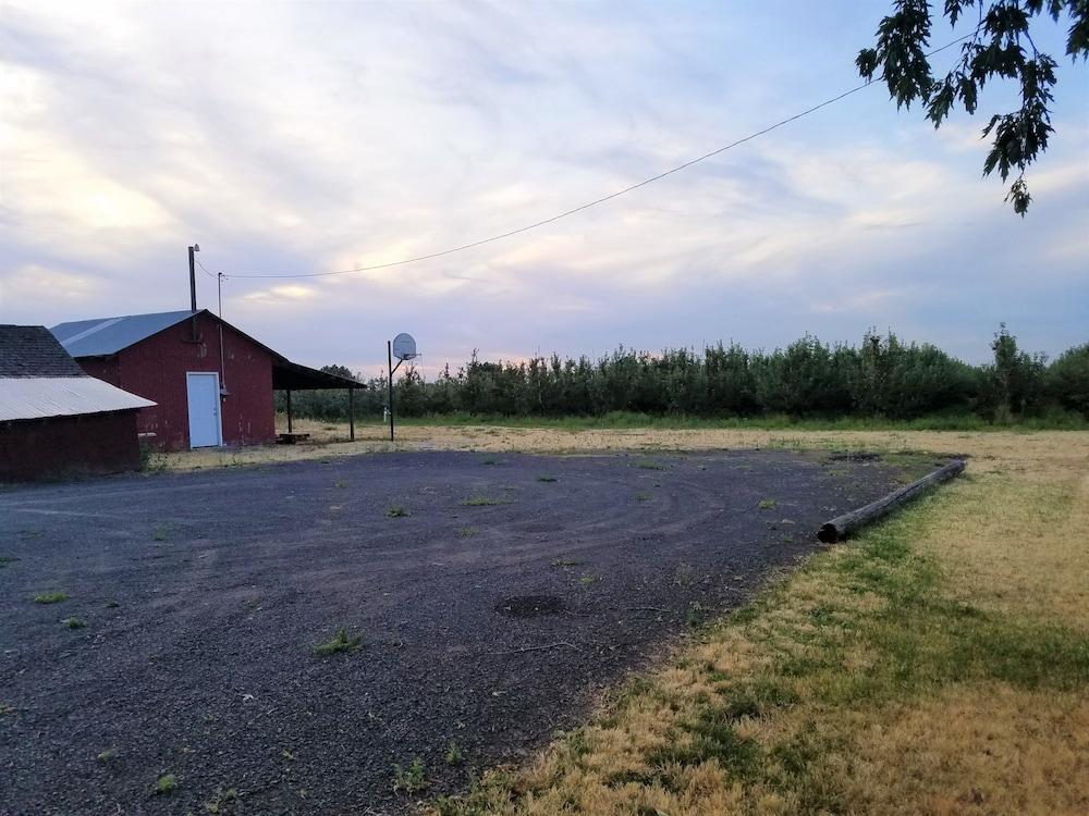 Out West Motel photo 12