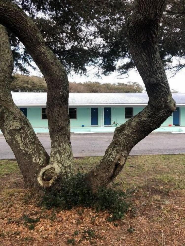 Swell Motel photo 97