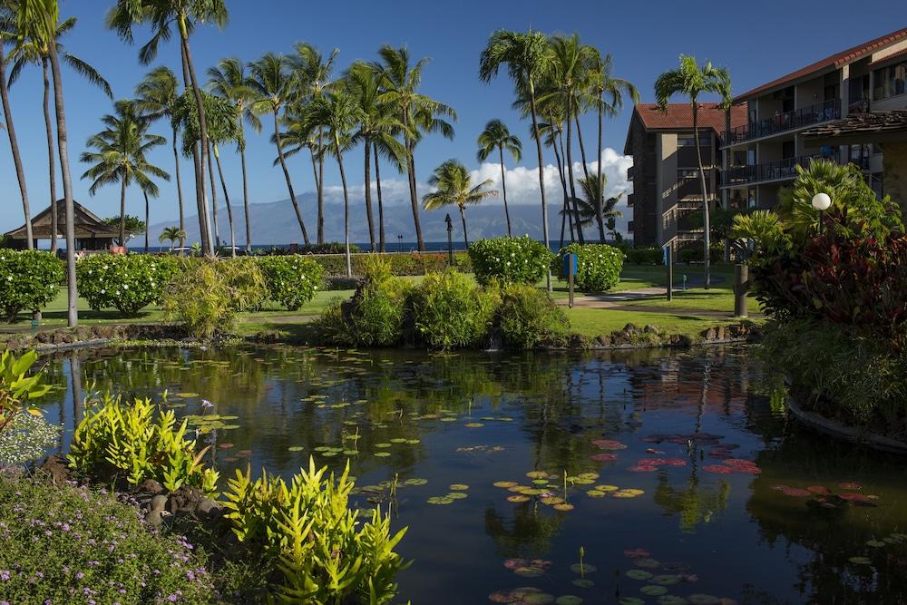 AEI at Papakea Resort Maui photo 20