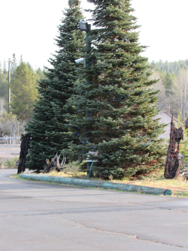 The Woodsman Country Lodge photo 2