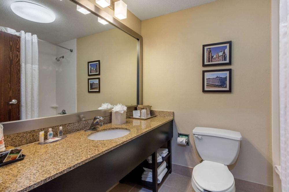 Comfort Inn Horn Lake - Southhaven photo 7
