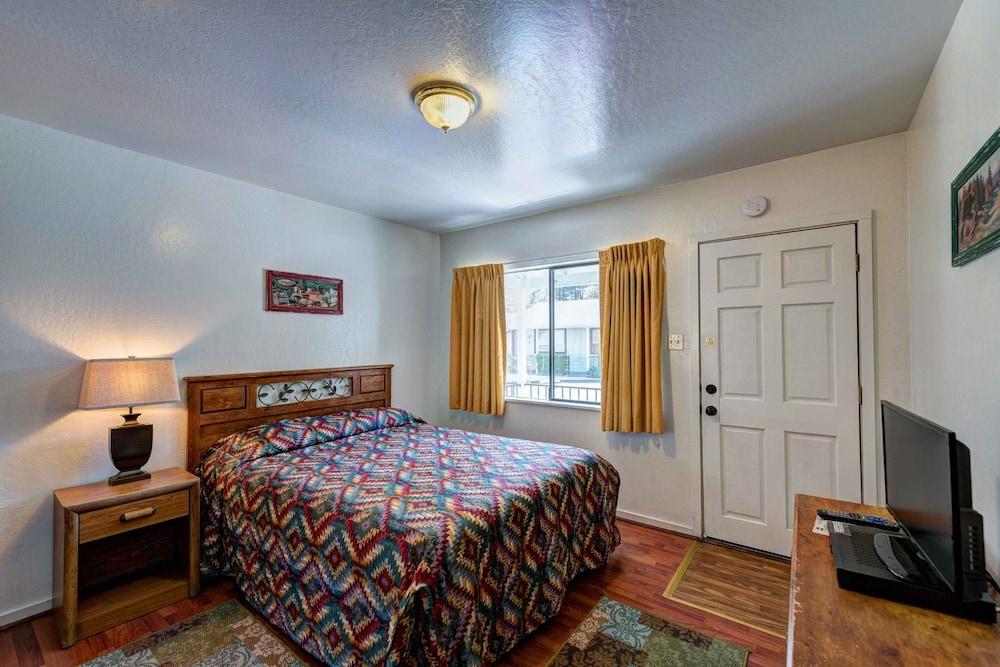 Lake Shasta Lodge photo 14