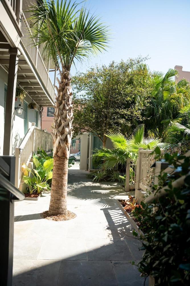 The Esplanade Compound photo 54