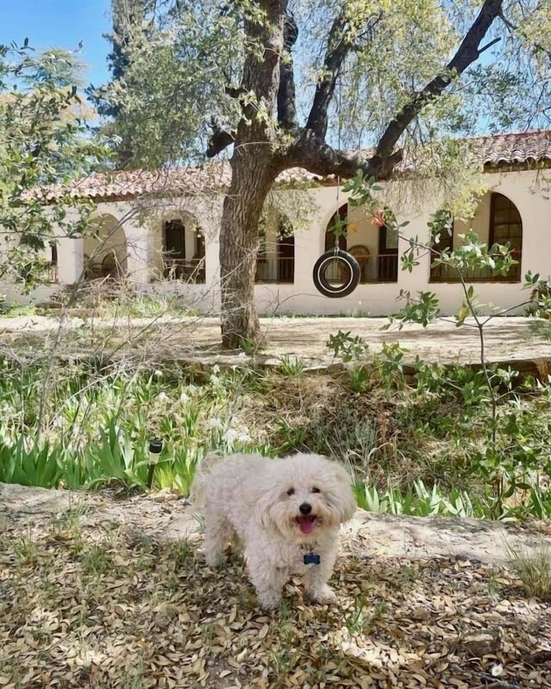 El Rancho Robles photo 79