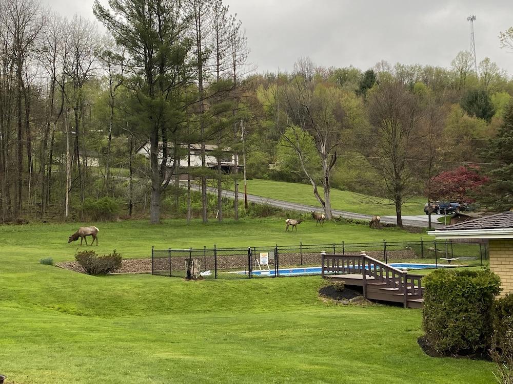 Bennetts Valley Elk Country Inn photo 30