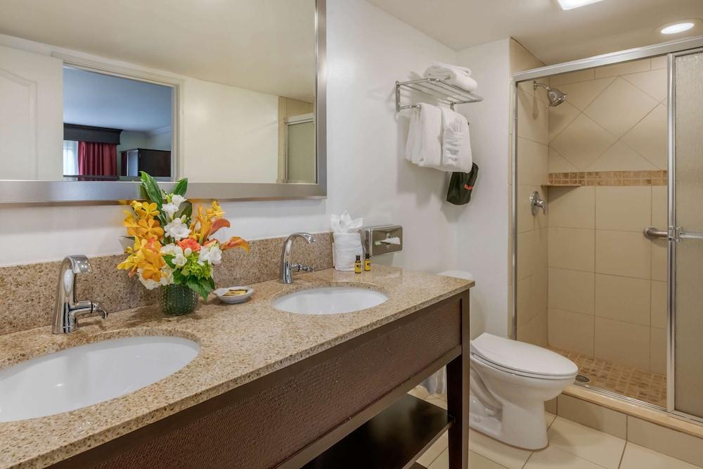 Best Western Plus Palm Beach Gardens Hotel & Ste & Conf Ctr photo 23