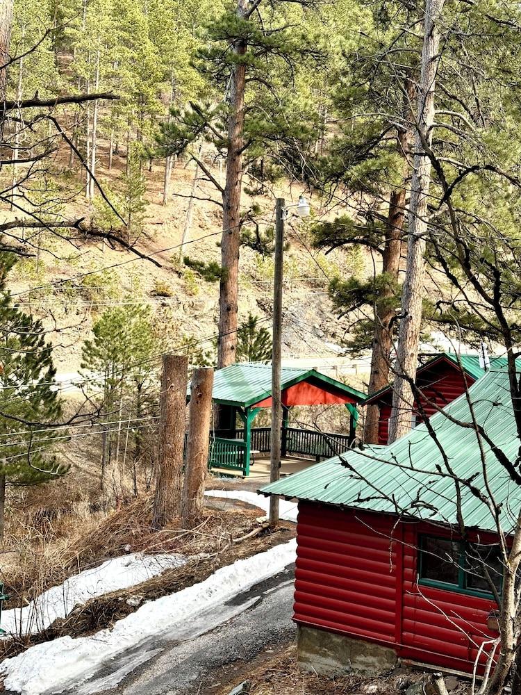 Ponderosa Pines photo 52
