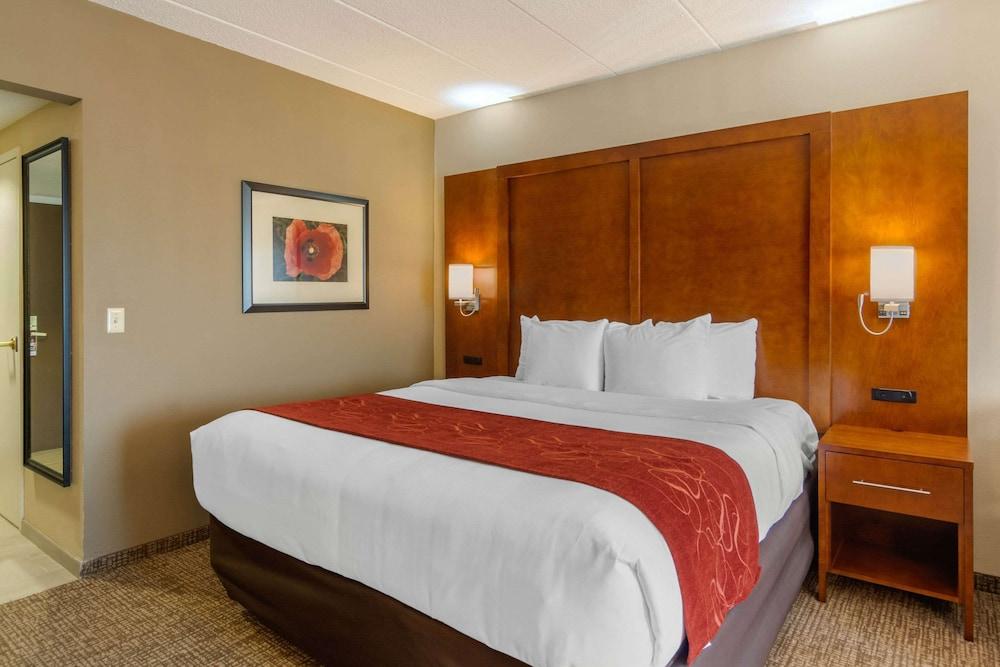 Comfort Suites South Park photo 3