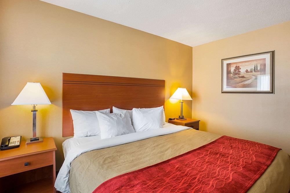 Quality Inn York photo 25