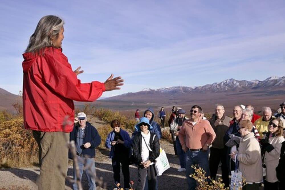 Denali Park Village photo 11