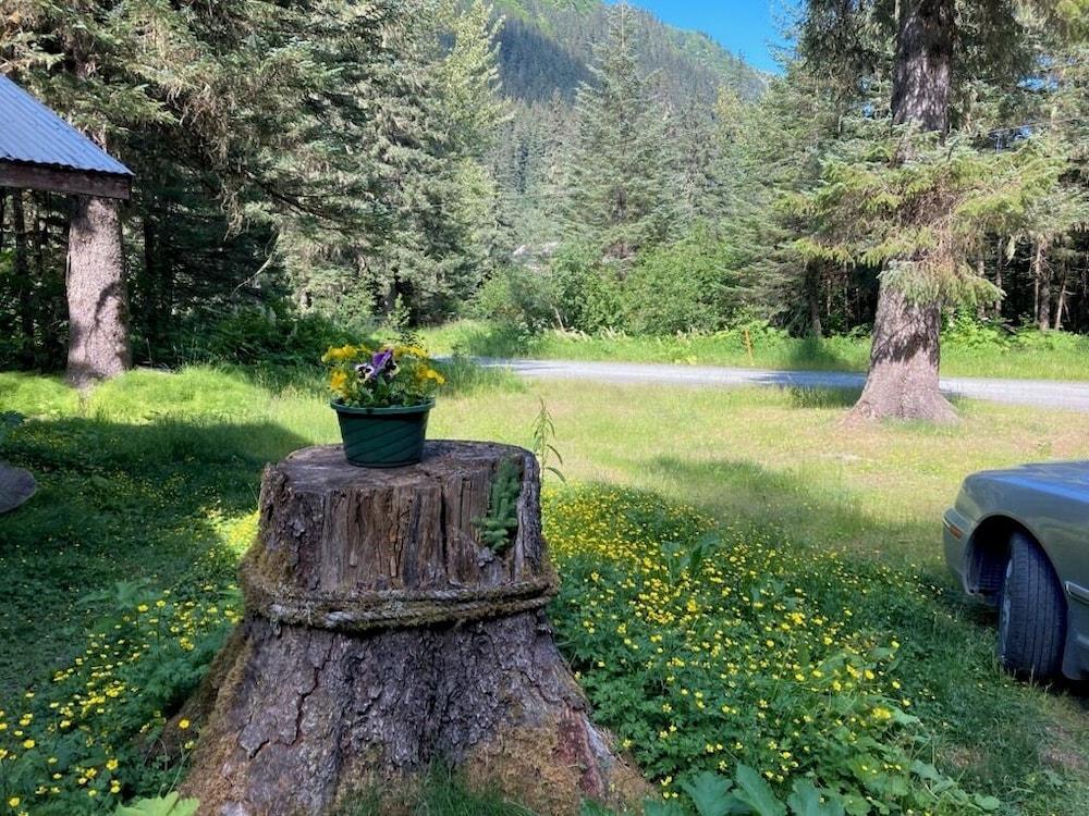 Valdez Lodge photo 2