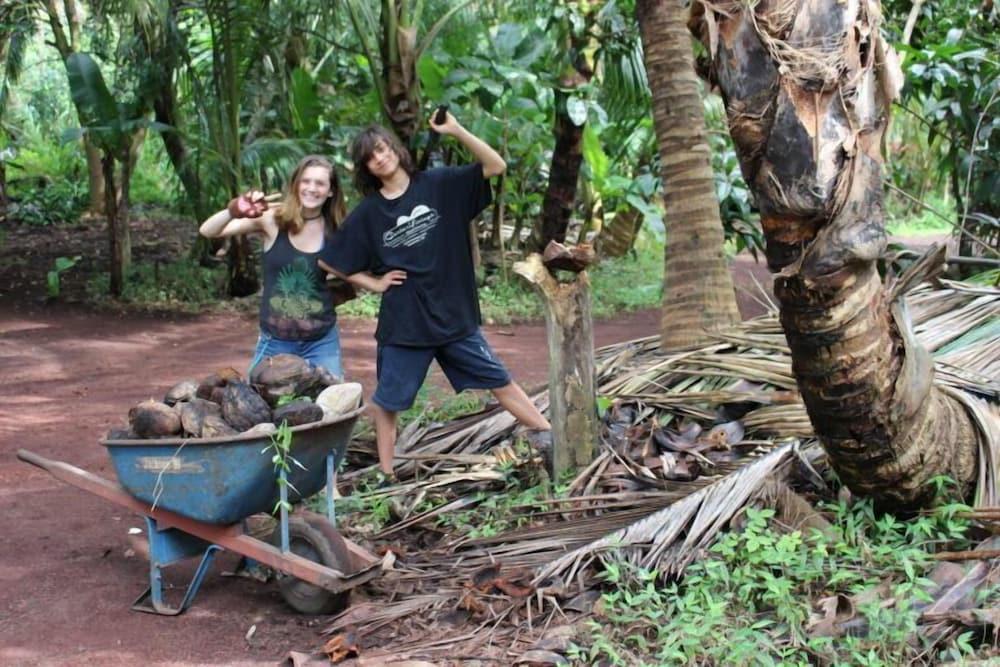 Cinderland EcoVillage - Hostel photo 82