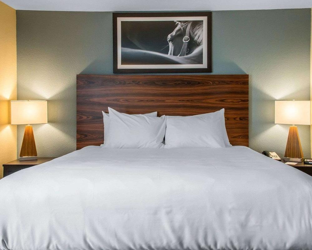MainStay Suites Cotulla photo 15